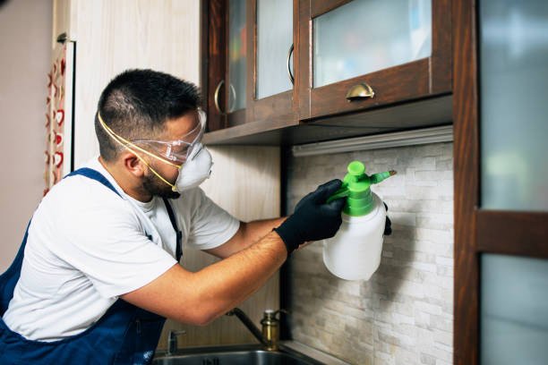 Best Flea Control Services  in Colby, KS
