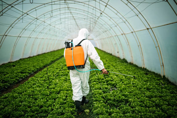 Best Affordable Pest Control Services  in Colby, KS