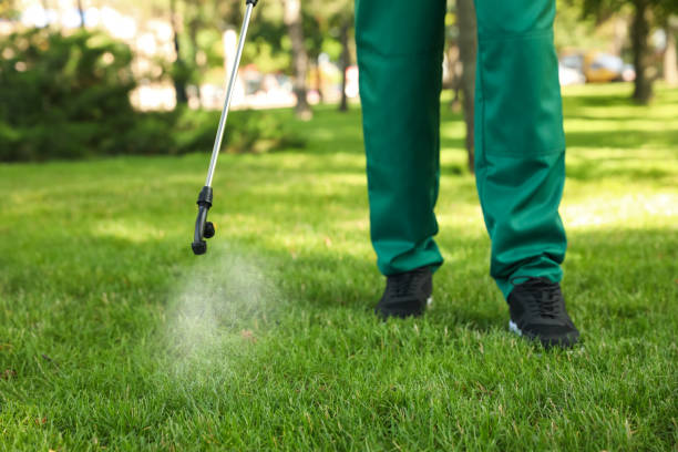 Best Affordable Pest Control Services  in Colby, KS