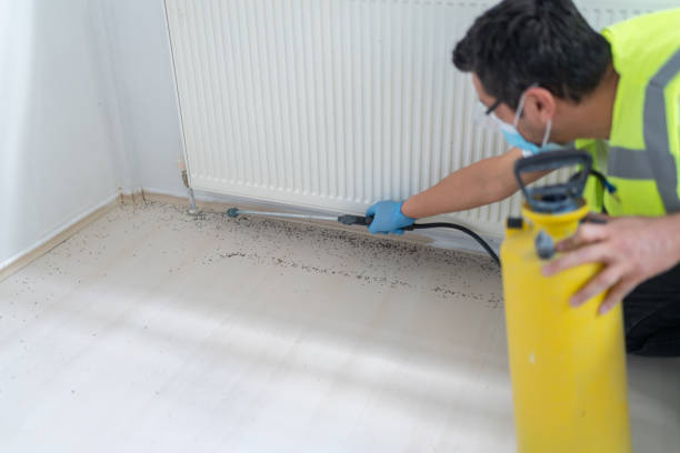 Best Residential Pest Control  in Colby, KS